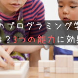 子供のプログラミング学習の効果は？｜伸ばせる能力は主に3つ